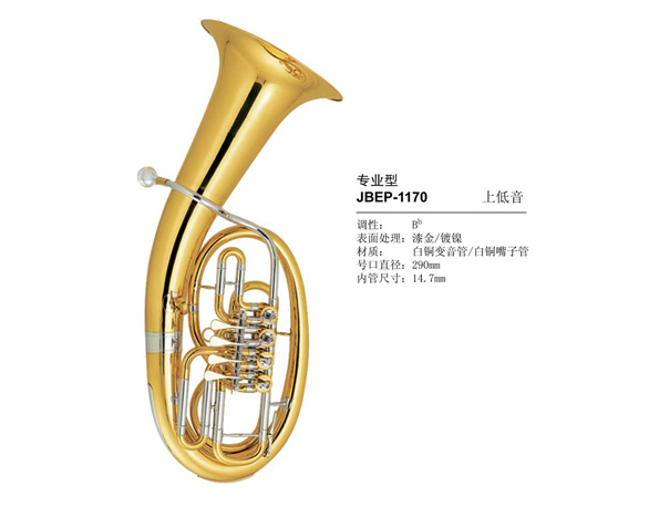 上低音  10款